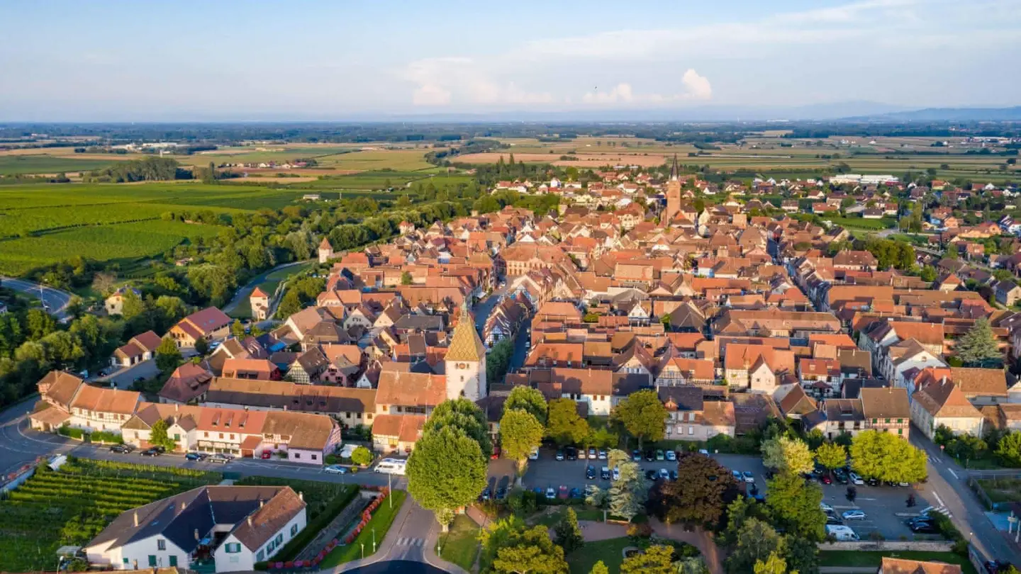 Vue aérienne de Bergheim et de ses toits de tuiles, au milieu du vignoble.