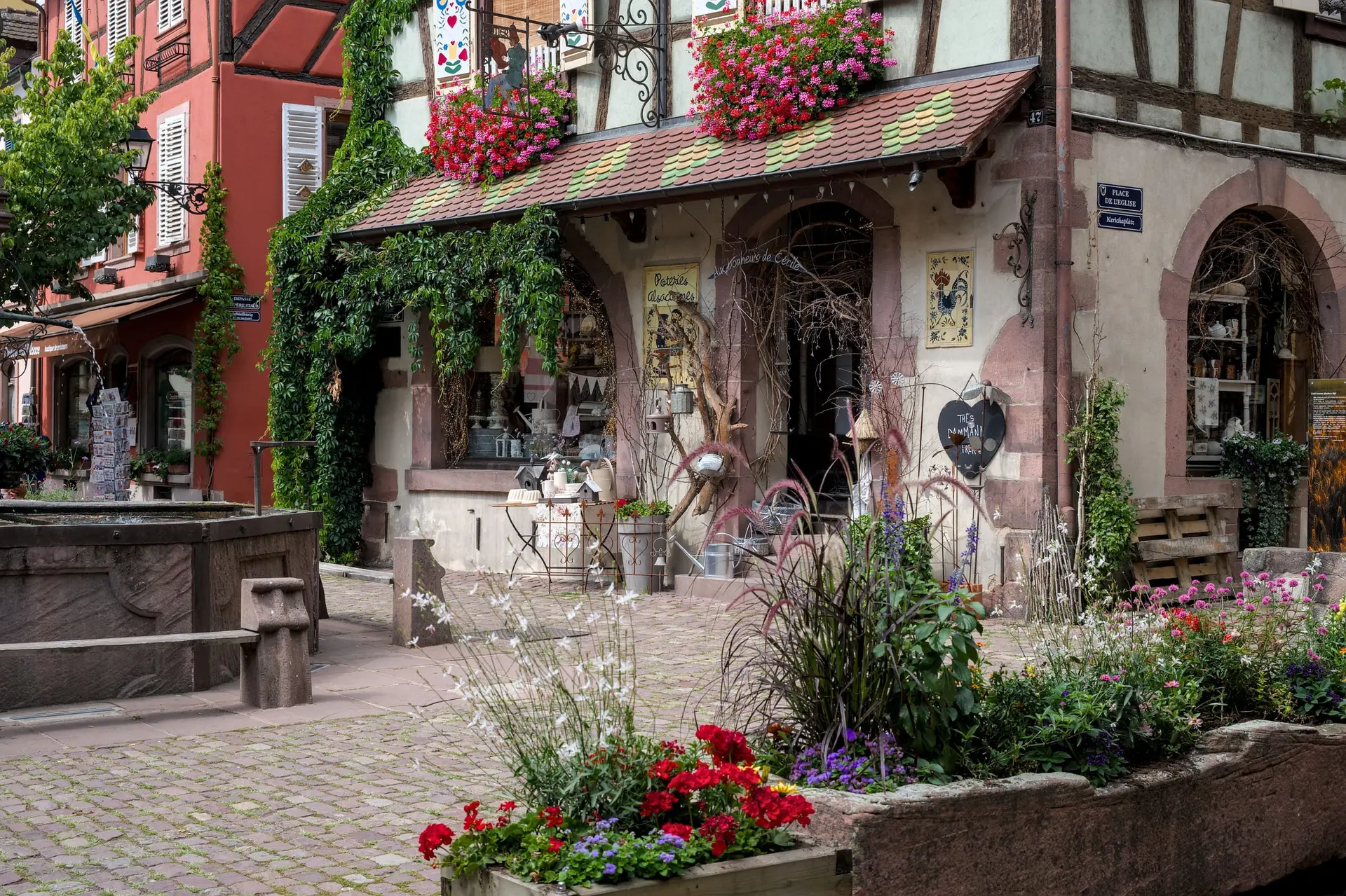 Une maison fleurie de Kaysersberg, avec son toit de tuiles vernissées et sa vigne grimpante, au bord d'une place pavée.
