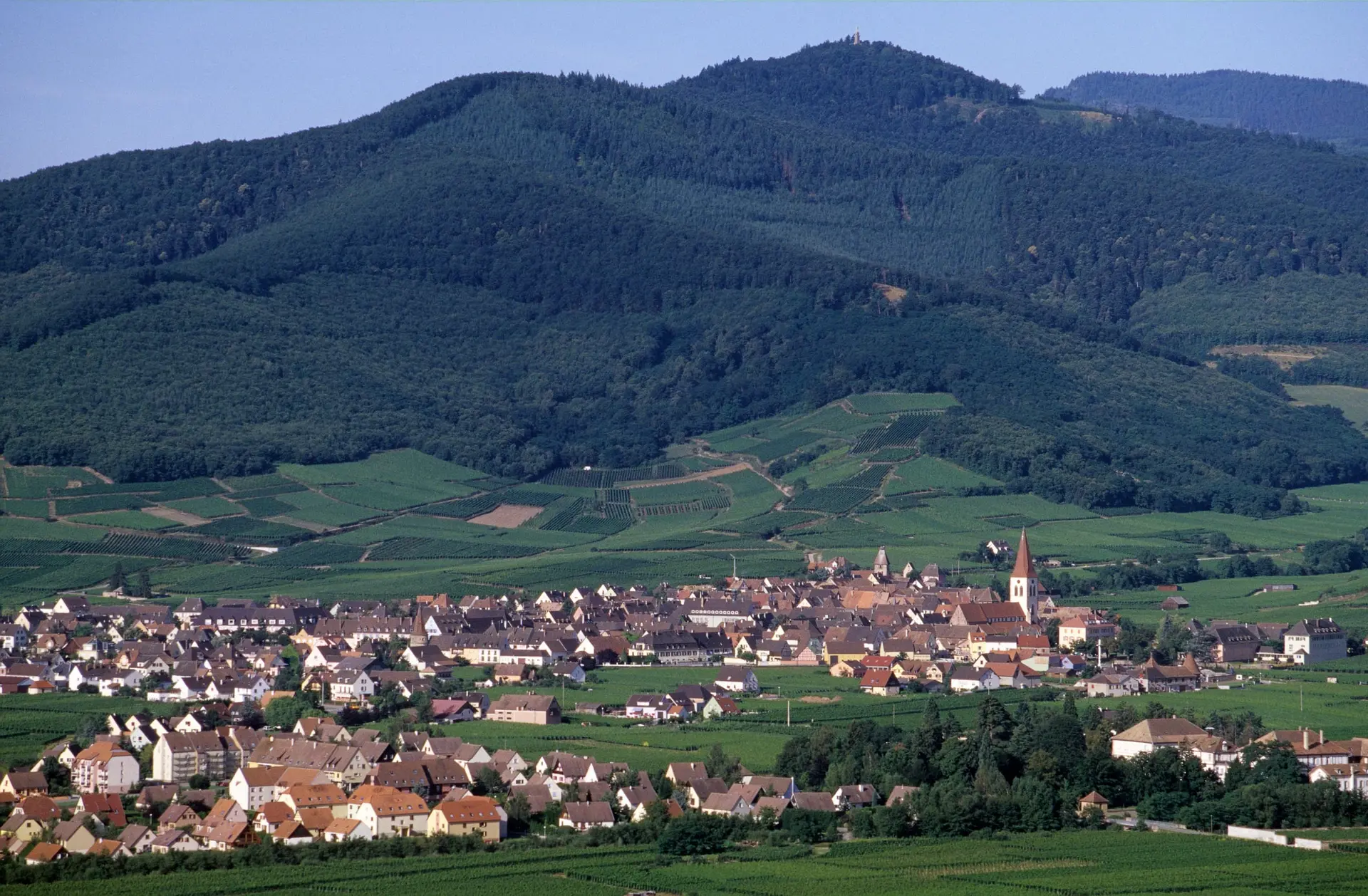 Un village au pied des montagnes boisées des Vosges, au milieu des prairies de la vallée de Munster.